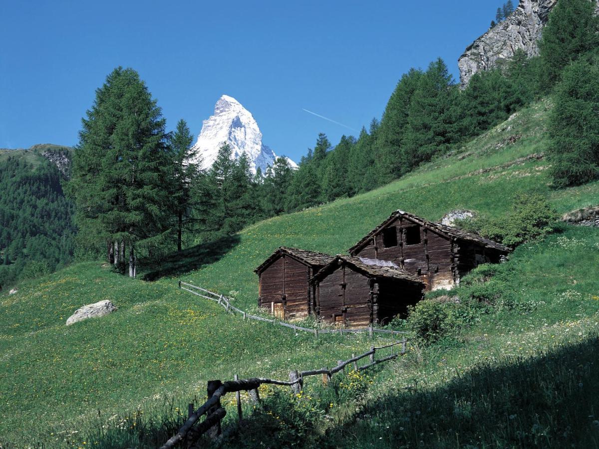 Apartment Oasis By Interhome Zermatt Bagian luar foto