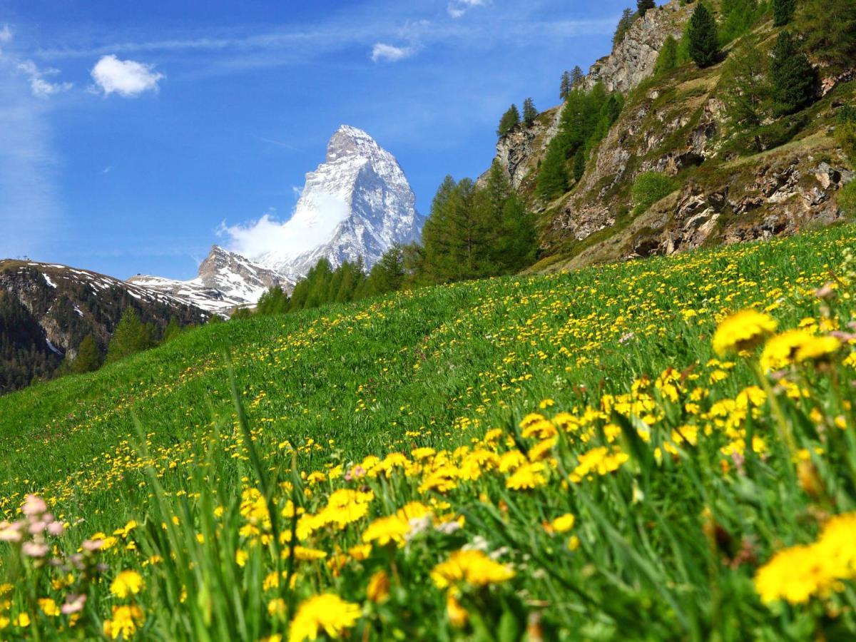 Apartment Oasis By Interhome Zermatt Bagian luar foto